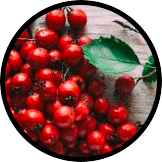 Chinese Hawthorn Berries
